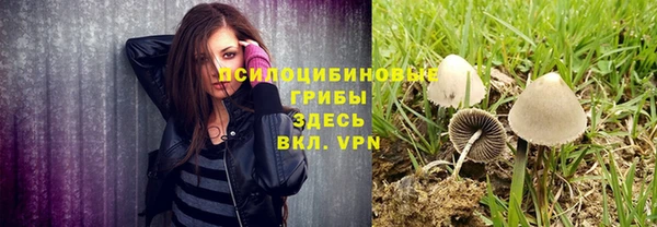 спиды Сафоново